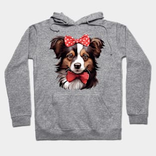 Fancy Shetland Sheepdog Hoodie